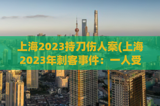 上海2023持刀伤人案(上海2023年刺客事件：一人受伤)
