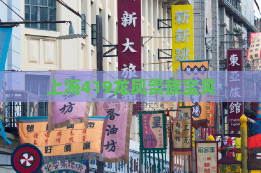 上海419龙凤贵族宝贝