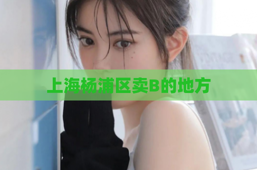 上海杨浦区卖B的地方