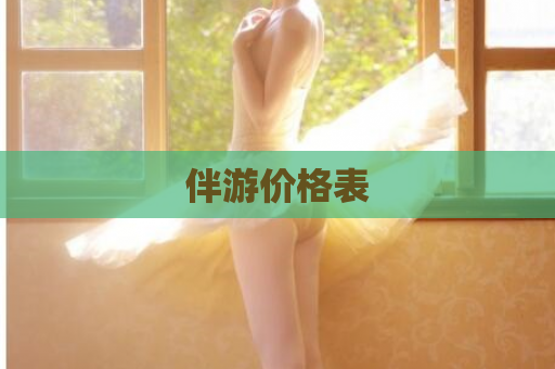 伴游价格表