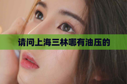 请问上海三林哪有油压的