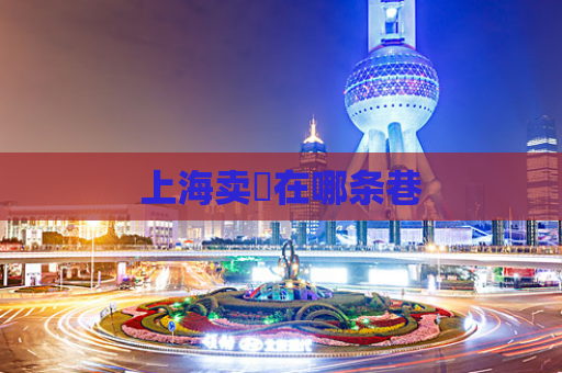 上海卖婬在哪条巷