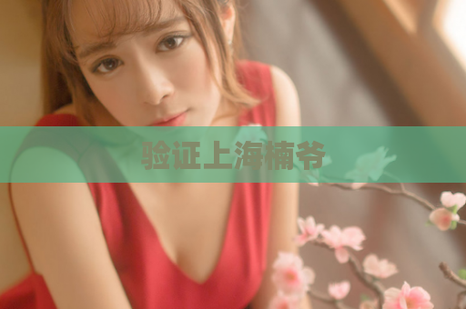 验证上海楠爷