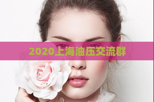 2020上海油压交流群