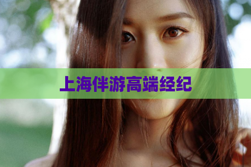 上海伴游高端经纪