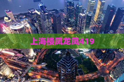 上海楼凤龙凤419