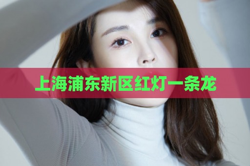 上海浦东新区红灯一条龙