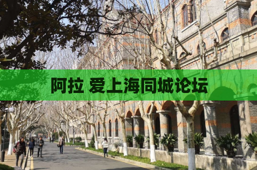 阿拉 爱上海同城论坛