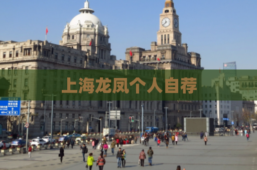 上海龙凤个人自荐