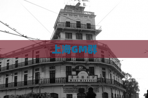 上海GM群