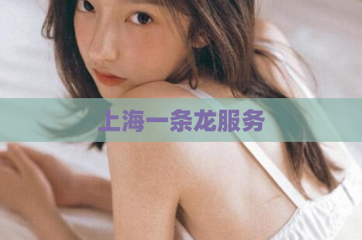上海一条龙服务
