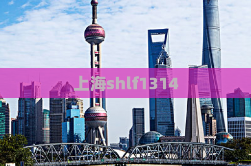 上海shlf1314