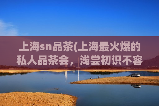 上海sn品茶(上海最火爆的私人品茶会，浅尝初识不容错过的好地方！)