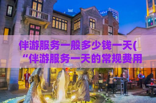 伴游服务一般多少钱一天(“伴游服务一天的常规费用是多少？”)