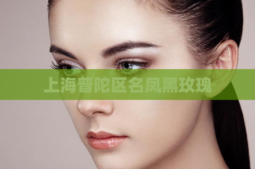 上海普陀区名凤黑玫瑰