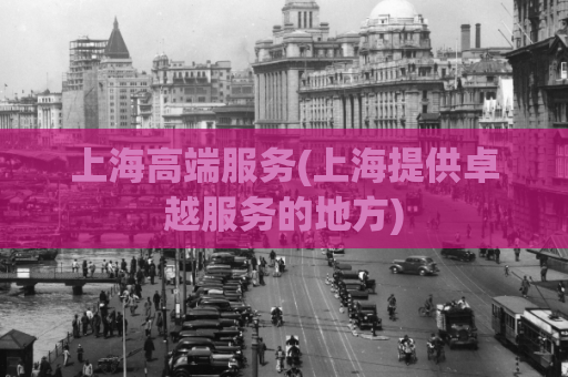 上海高端服务(上海提供卓越服务的地方)