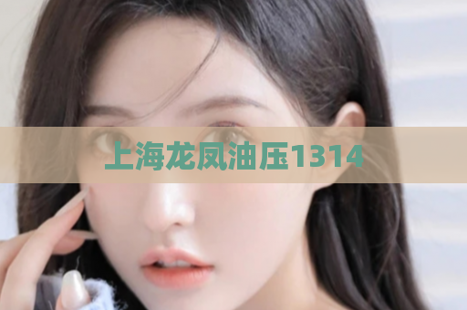 上海龙凤油压1314