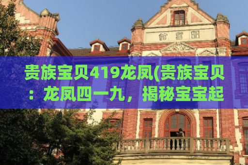 贵族宝贝419龙凤(贵族宝贝：龙凤四一九，揭秘宝宝起名风水秘籍)