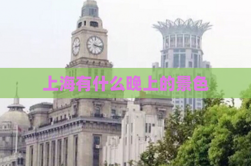 上海有什么晚上的景色