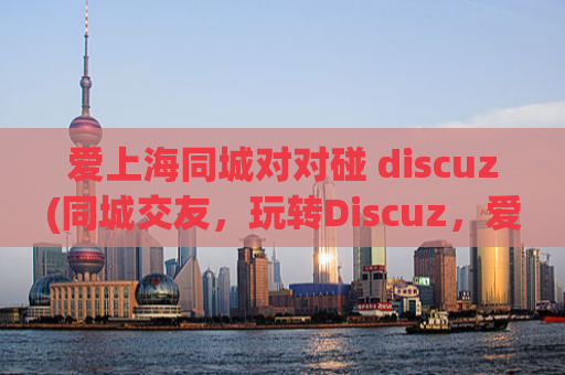 爱上海同城对对碰 discuz(同城交友，玩转Discuz，爱上海新体验)