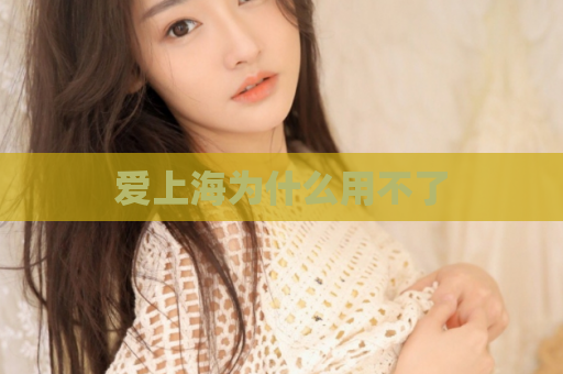 爱上海为什么用不了