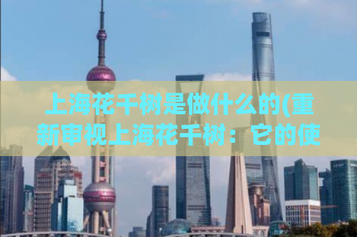 上海花千树是做什么的(重新审视上海花千树：它的使命和价值是什么？)