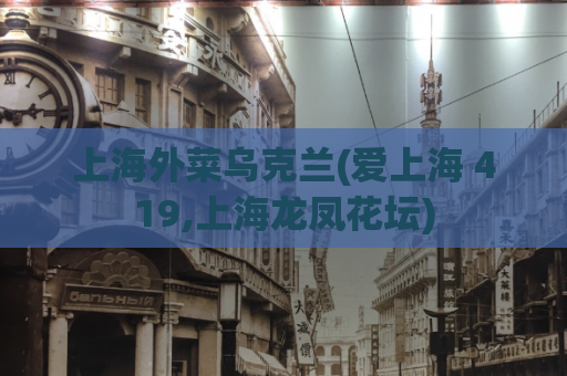 上海外菜乌克兰(爱上海 419,上海龙凤花坛)
