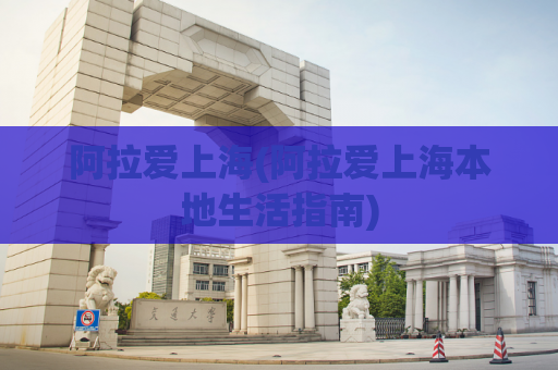 阿拉爱上海(阿拉爱上海本地生活指南)