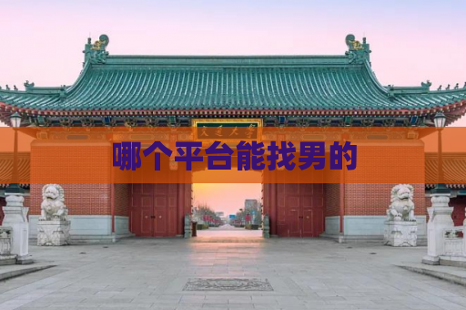 哪个平台能找男的