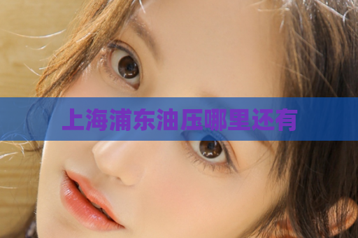 上海浦东油压哪里还有