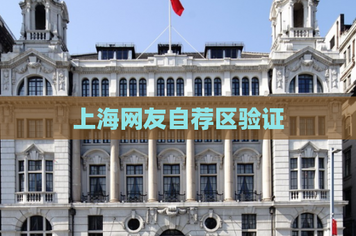 上海网友自荐区验证