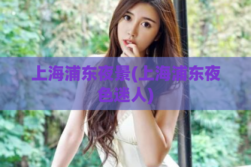 上海浦东夜景(上海浦东夜色迷人)