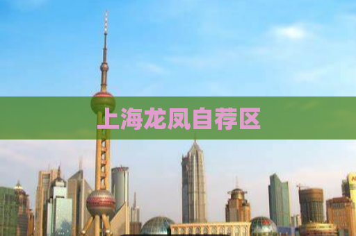 上海龙凤自荐区