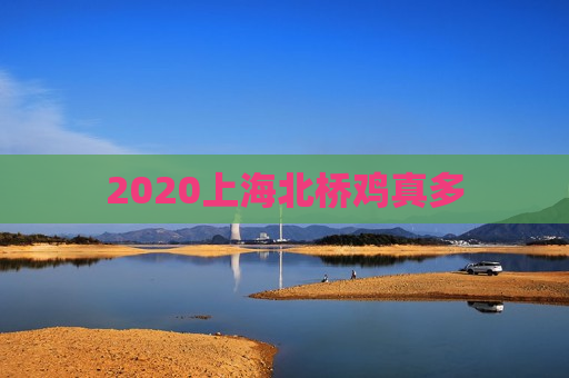 2020上海北桥鸡真多