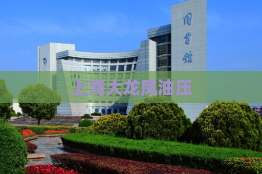 上海大龙凤油压