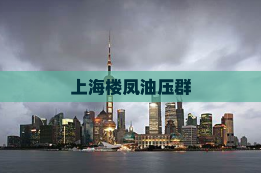 上海楼凤油压群
