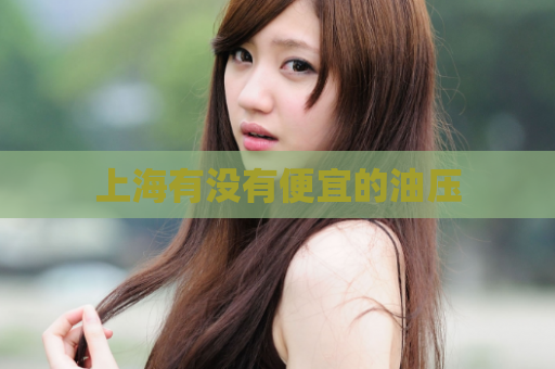 上海有没有便宜的油压