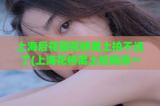 上海后花园花桥离土拍不远了(上海花桥离土拍尚待一步之遥)