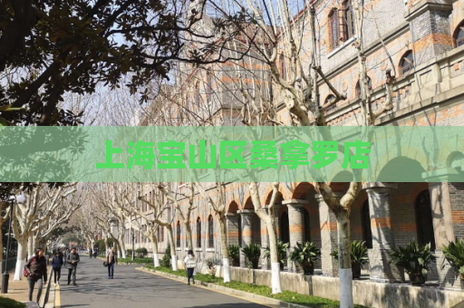 上海宝山区桑拿罗店
