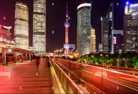 魔都悦己沙龙插花茶道到底值不值？我花了三周跑遍静安徐汇，说点