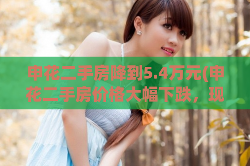 申花二手房降到5.4万元(申花二手房价格大幅下跌，现仅售5.4万元！)
