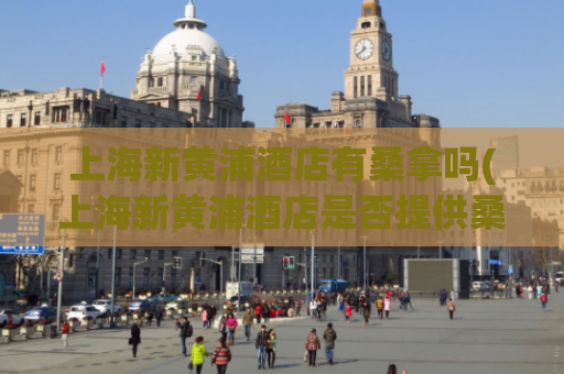 上海新黄浦酒店有桑拿吗(上海新黄浦酒店是否提供桑拿服务)