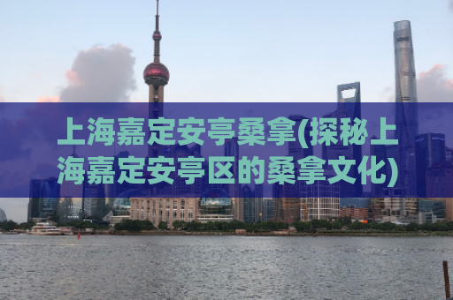 上海嘉定安亭桑拿(探秘上海嘉定安亭区的桑拿文化)