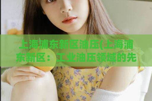 上海浦东新区油压(上海浦东新区：工业油压领域的先驱)