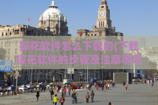 探花软件怎么下载的(下载探花软件的步骤及注意事项)