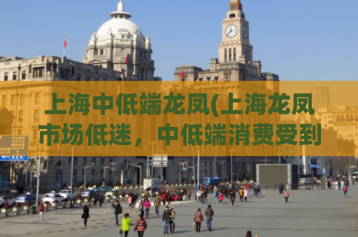 上海中低端龙凤(上海龙凤市场低迷，中低端消费受到压制)