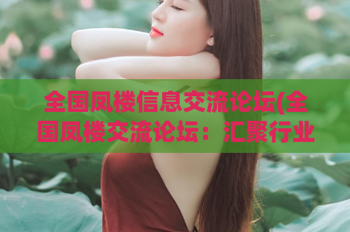 全国凤楼信息交流论坛(全国凤楼交流论坛：汇聚行业精英，分享行业趋势与技术)