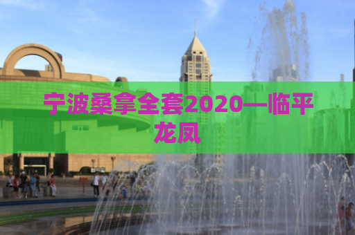 宁波桑拿全套2020—临平龙凤