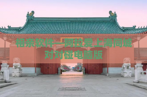 相亲软件—阿拉爱上海同城对对碰电脑版