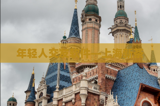 年轻人交友软件—上海新茶